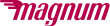 Partner 17